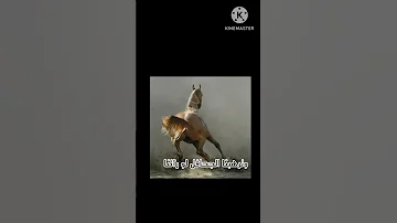 سلوا التاريخ كم مجدا سطرنا الفديو كامل علي القناه 