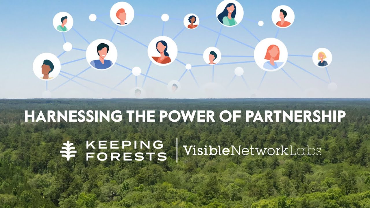 Harnessing the Power of Partnership: A Social Network Analysis of Southern Forest Conservation