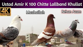 Ustad Amir K 100 New chiite Lallband Kabootar Ki khulat | King Of Faqira Goth |