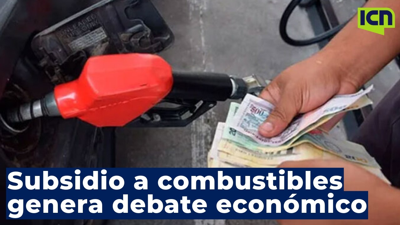 𝐄𝐜𝐨𝐧𝐨𝐦𝐢𝐬𝐭𝐚𝐬 𝐚𝐝𝐯𝐢𝐞𝐫𝐭𝐞𝐧 𝐪𝐮𝐞 𝐬𝐮𝐛𝐬𝐢𝐝𝐢𝐨 𝐚 𝐜𝐨𝐦𝐛𝐮𝐬𝐭𝐢𝐛𝐥𝐞𝐬 𝐝𝐞𝐛𝐞 𝐬𝐞𝐫 𝐭𝐞𝐦𝐩𝐨𝐫𝐚𝐥