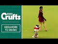 International Freestyle Heelwork To Music - Part 2 | Crufts 2020