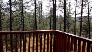Not Crafty related, Vacation Cabin in Ruidoso NM