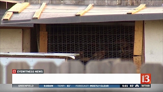 Police make arrest in cockfighting operation