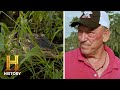 Swamp People: The Gators Put Troy in DEEP Water (Season 14)