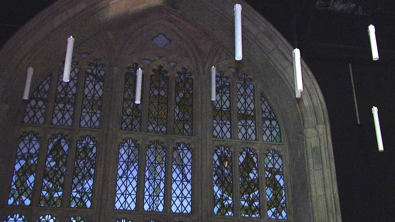 Harry Potter The Exhibition What to Expect at the Ontario Science