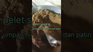meracik umpan ikan nila#shorts
