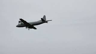If happiness had a sound, it would be aircraft engines over Shellharbour ✈️🎶 #wingsovershellharbour