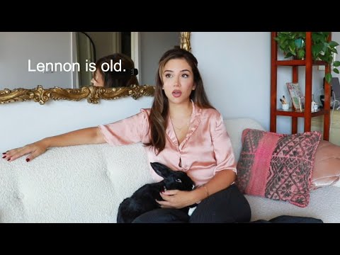 Lennon Life Update + Daily Senior Rabbit Routine