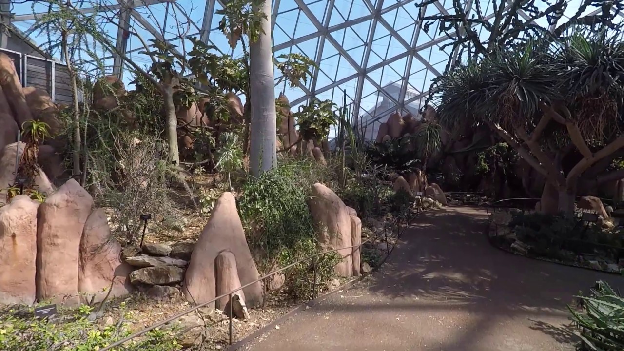 Mitchell Park Domes Desert Dome Walk Through - Slow TV