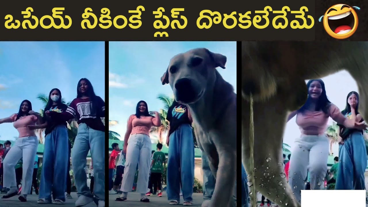TikTok చేసుకునే పాపలకి పిచ్చెక్కేలా చేసింది🤣 Funny Girls ever seen😂