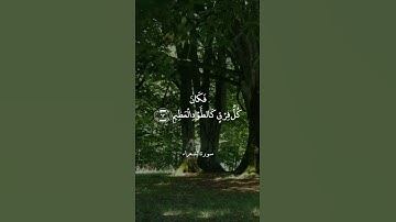 قَالَ كَلَّا ۖ إِنَّ مَعِيَ رَبِّي سَيَهْدِينِ || سورة الشعراء || علي جابر