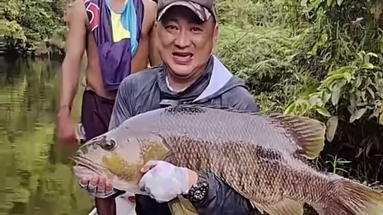 Spot-tail Bass by top water lures fishing 水面系路亚钓班尾鲈