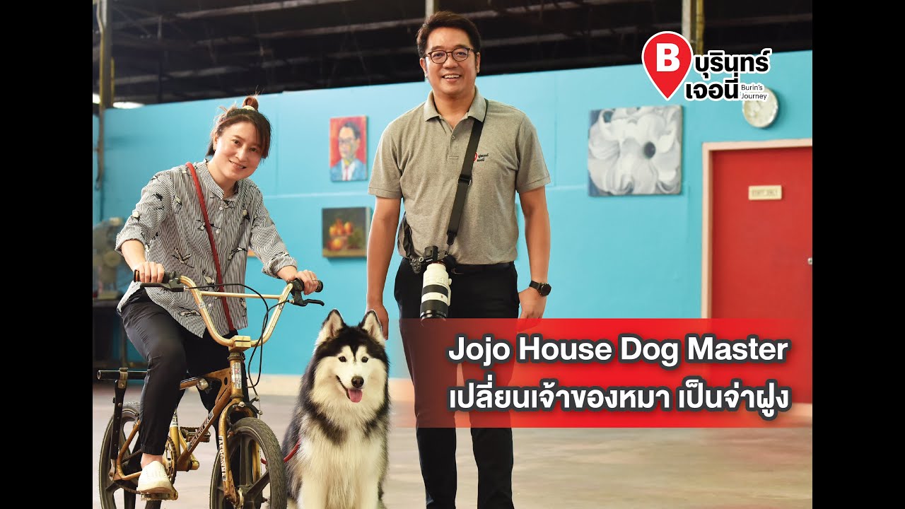 jojo house dog master