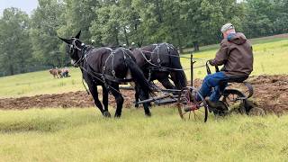 Spring 2026 Brewington Plow Day