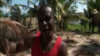 This is Nollywood