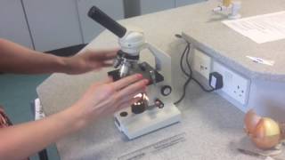 9-1 GCSE Biology Required Practical 1, Pt2 - Wet Mount Slides