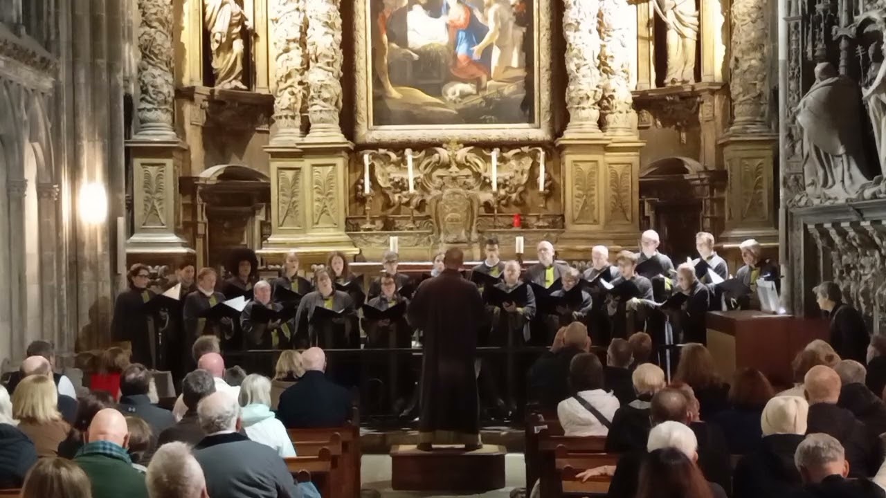 Cantate Domino - Giuseppe Pitoni Conducted by Vinicius Guimaraes 