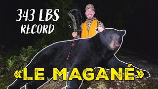 'LE MAGANÉ' HUNTING movie! (POPE & YOUNG BEAR)