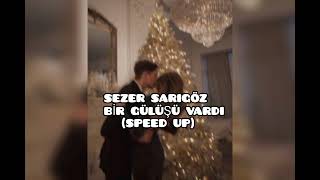 SEZER SARIGÖZ - BİR GÜLÜŞÜ VARDI (SPEED UP) Resimi