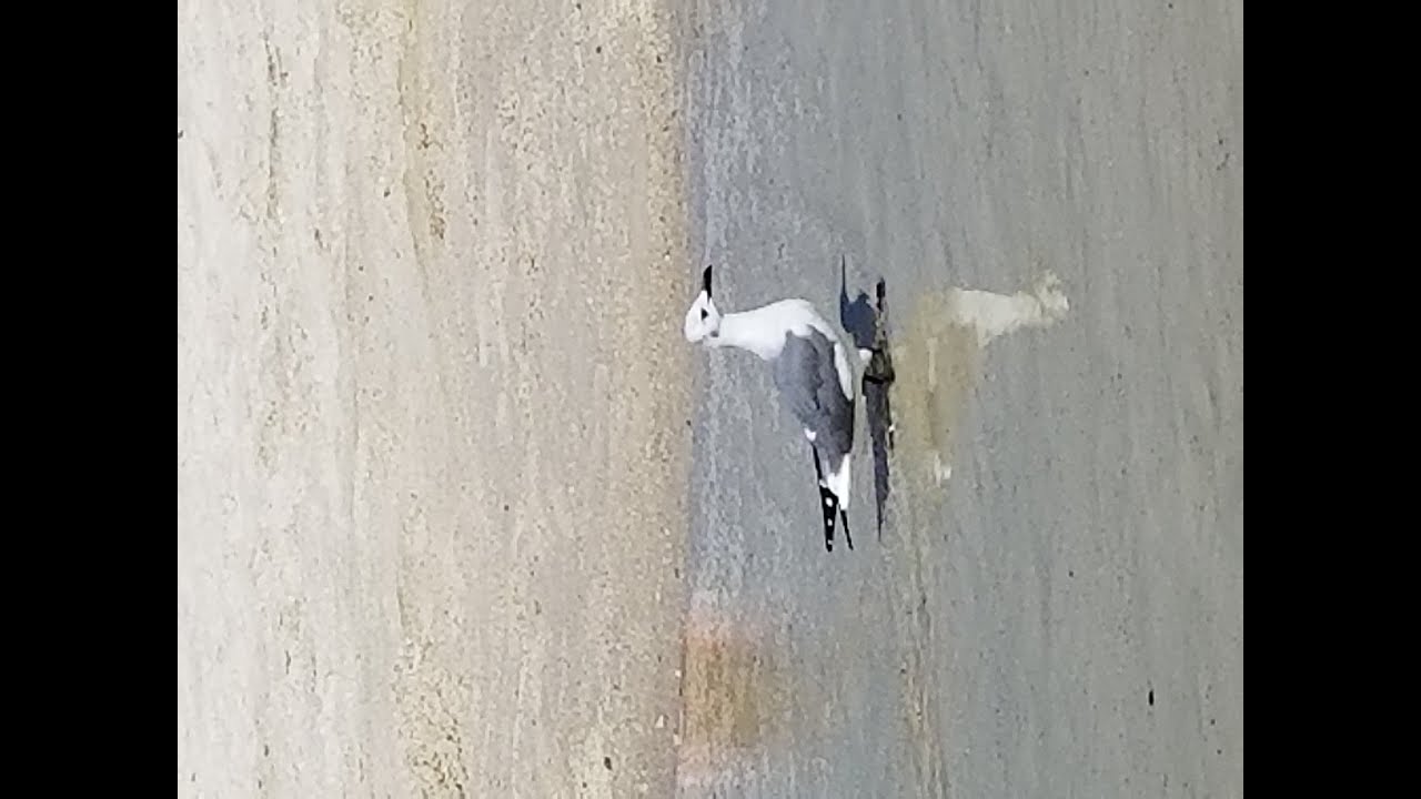 getting loosey goosey with it