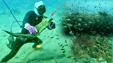 Gặp Nhiều Loại Cá - Ở Góc Chà Điểm Tàu Đắm Cá Chình Mực Nang | P 221