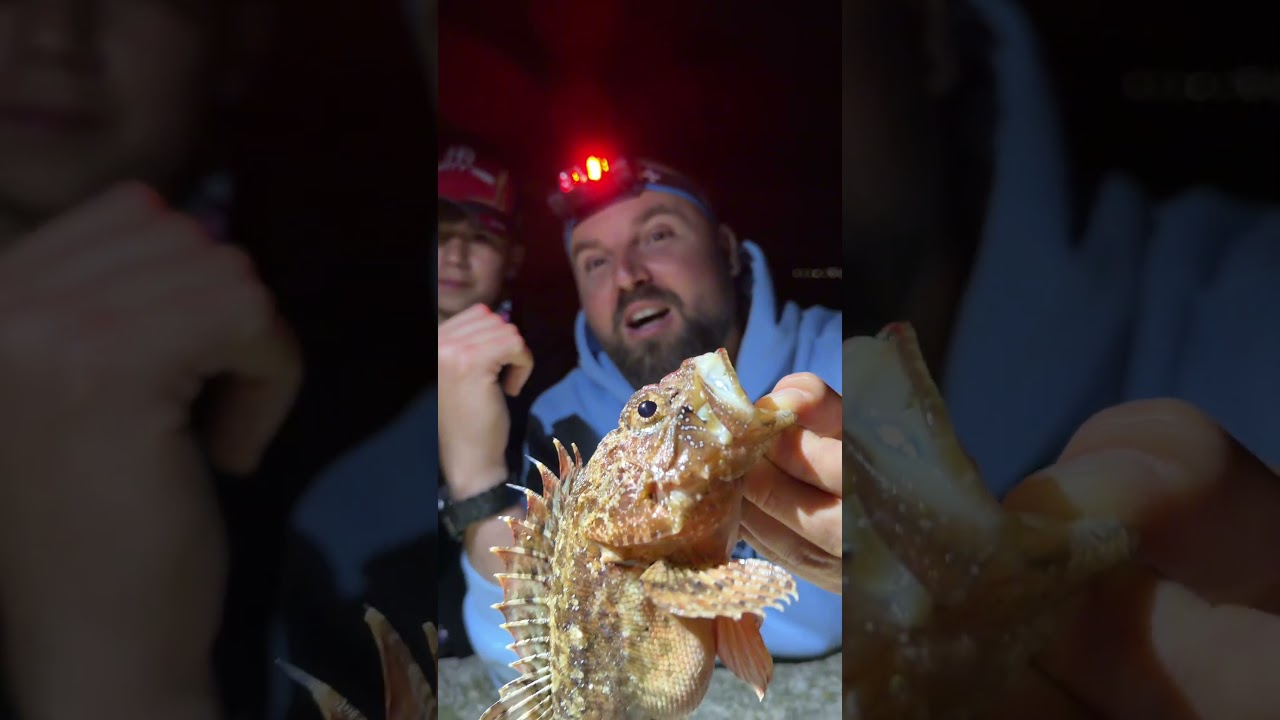 ЗВЕРОВЕ ОТ ЧЕРНО МОРЕ!!!