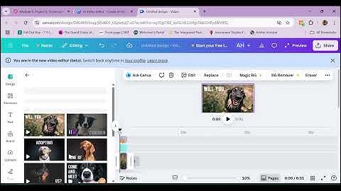 EME 6208: AI Screencast - Canva