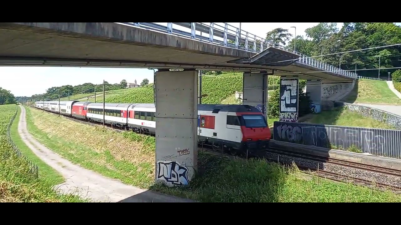 ex Bv Celigny 🇨🇭