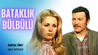 Bataklık Bülbülü Türk Filmi Full Kartal Tibet Hale Soygazi