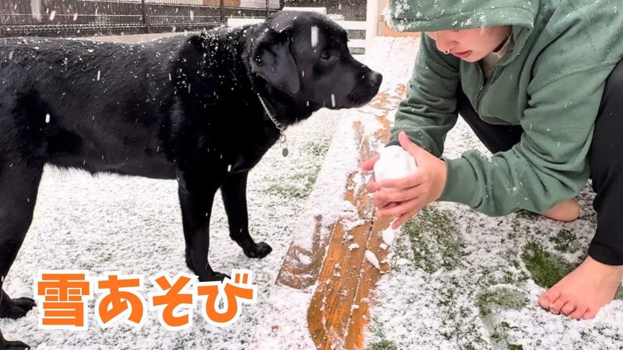 2026年、初の積雪！また良い思い出ができました♡