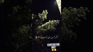 Black Sky, Quiet Leaves#BlackSky #LeavesVibes #NightAesthetic