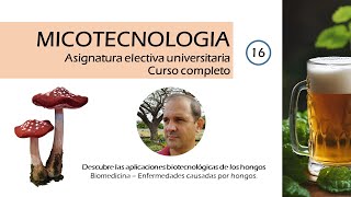 Micotecnologia 17 - Enfermedades causadas por hongos
