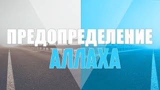 Предопределение Аллаха | Вероубеждение аш-Шафии [13 часть] | 'Умар ибн Сауд ибн Фахд аль-'Ид