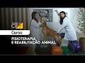 Fisioterapia e Reabilitação Animal l Cursos CPT