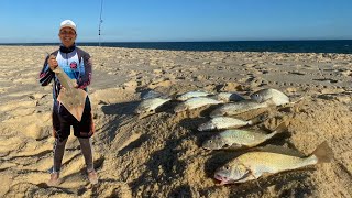 ACERTAMOS UM CARDUME DE PEIXE EM EXTINÇÃO. OLHA A QUANTIDADE QUE FISGAMOS NESSA PESCARIA DE PRAIA.