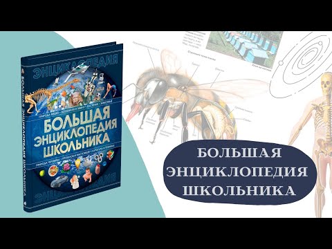 Книга для детей Большая энциклопедия школьника, развивающая, познавательная. Подарок ребенку