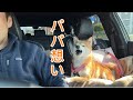 飼い主想いな愛犬のある行動が可愛すぎました