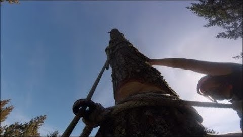 Arborist Negative Rigging w/X-Rings