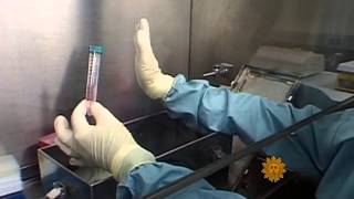 A rare peek inside Plum Island facilities