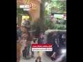 قتال بمقهى ببعلبك بسبب مباراة الأرجنتين وإسبانيا#لبنان #عمون