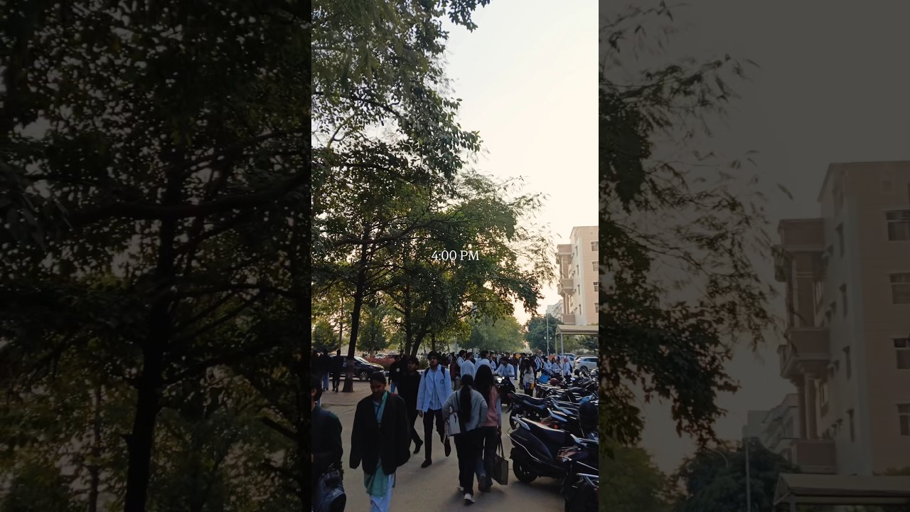 Chasing the cold weather frenzy from lectures to gaming!