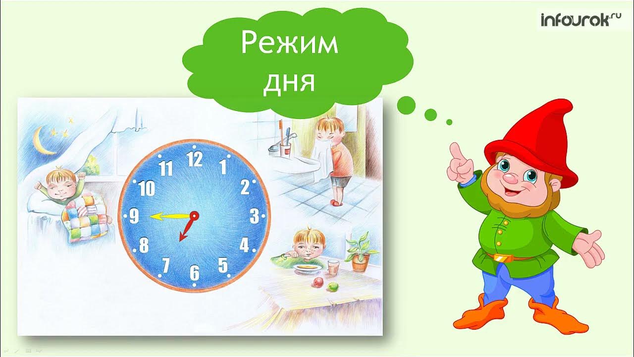 Что означает реветь белугой фразеологизм. Реветь так реветь. Выражение реветь белугой. Польза соблюдения режима дня для детей. Режим реветь.