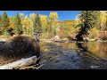 Beginning of video