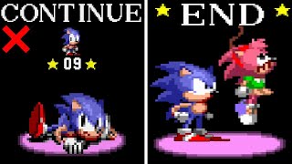 The End Of Amy Rose