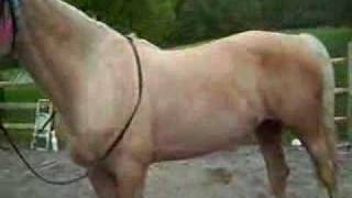 Lilah And Her Flowers