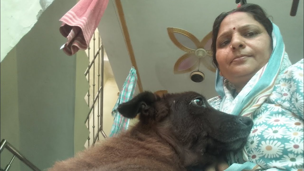 मन्नू पहले से ठीक हो गई है खाना पीना खा रही है 🐕🐕🙏🙏