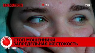 Жертвы мошенников; мужчина и женщина издевались над собакой; как уберечь ребенка от угроз
