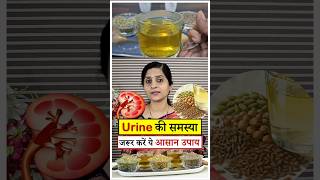 Urine Problems का आसान आयुर्वेदिक उपाय || Kidney को Healthy रखने का Best तरीका || #ayurveda #food