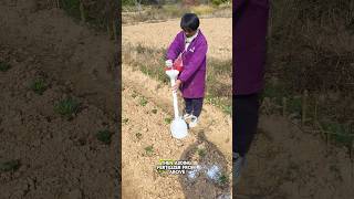 how to fertilize vegetables with simple tools#shorts#short#trending#unique#fyp