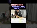 【眠り姫/Acid Black Cherry】毎日ギターソロ 381日目【TAB譜】